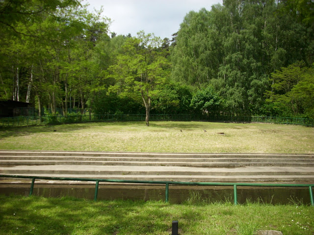 Wybieg hipopotamów nilowych - Zoo Oliwa