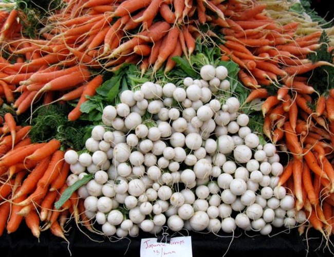 [turnip_carrot[7].jpg]