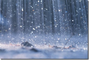 rain-blog