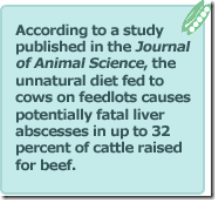 quote-FFCow1