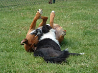 DSCF0011-1.JPG