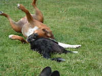DSCF0010.JPG
