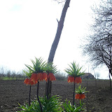 31.03.2007