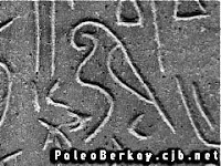 Sultanhanı'ndan bir kuş simgesi, Hitit dönemi