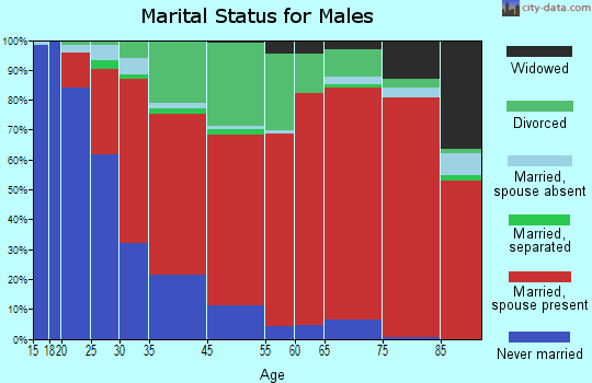 [34231[11].png]