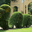 Saigon central park, another example of their fine topiary skills...