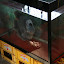 Next (another) coffee stop, and this poor fish stuck in a tank about a billion times too small. Complete with foot.