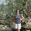 Bonsai heaven