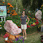 Rocks and flowers