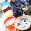 Various shell fish are kept in these aerated bowls, keeps 'em fresh!