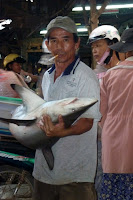 Some fish in Thu Bin river are bigger than others...