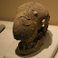 Human Skull, 5-6000 BP apparently. We think it is actually an alien, it has no eyes!!