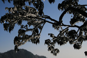 Our descent was hall marked by beautiful blue skies, while the foliage was decorated by the permanent hoar frost we'd avoided!