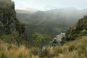 Here the vegetation changed from the occasional bit of thorn to bushes and shrubs.