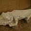 Crocodile statue!
