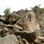 OK, so this was a massive hike to see this guy, the rock at the very bottom left is apparently a carving of a monkey.  I pointed out it could be a penguin for all you can see!