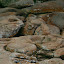 Weird shapes in the rock - the bridge around the outside where you can see them clearly was helpfully shut...