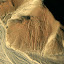 My favourite, the astronaut! And no doubt the source of many extra terrestrial Nasca theories!