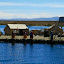 Inhabitants rush to the island's edge to encourage us to dock.