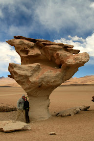 A volcanic splash of rock, famously eroded into something resembling a tree...