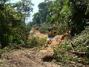 More digger destruction at Inti Wara Yassi. More digger destruction at Inti Wara Yassi.