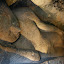 When Buddha was finally laid to rest, all the angels cried for him.