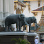 Elephants are another important piece of Thailand's tradition and history.
