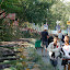 Looking up the line of fruitand goodies that is about to be decimated by a herd of elephants.