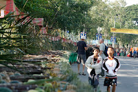 Looking up the line of fruitand goodies that is about to be decimated by a herd of elephants.