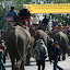 Finally, the last pineapple has been pulped and the elephants head off to their next appointment.