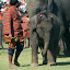 Dumbo wasn't sure that this event was doing much for his street cred.