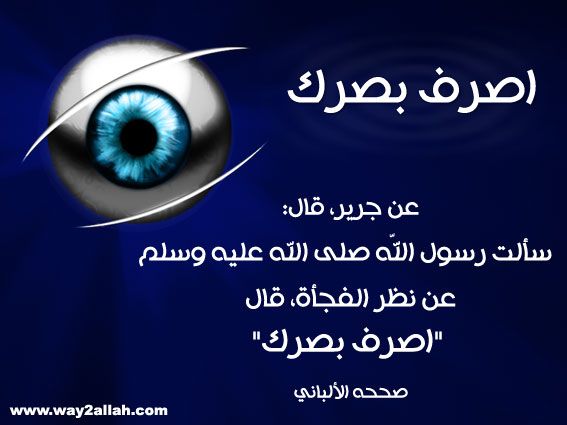 .::. حملة عيـــــنك أمانة .::.  - صفحة 2 3aynak-amana6