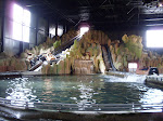 SDC10029.JPG