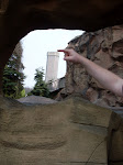 SDC10263.JPG