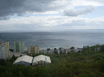SDC10336.JPG
