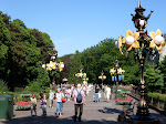 SDC10493.JPG
