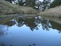 IMG_1549屯鹿妹池.JPG