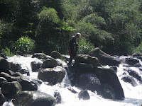 IMGP2182.JPG Photo