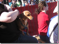 wienerwithattitude