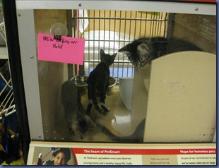 IMG_1435 IMG_1435