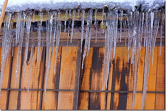 ice ice