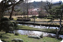 IMG_2999 IMG_2999
