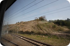 IMG_2982 IMG_2982