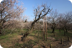 IMG_3083 IMG_3083
