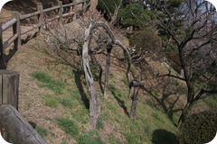 IMG_3020 IMG_3020