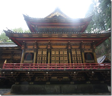 IMG_3493 IMG_3493