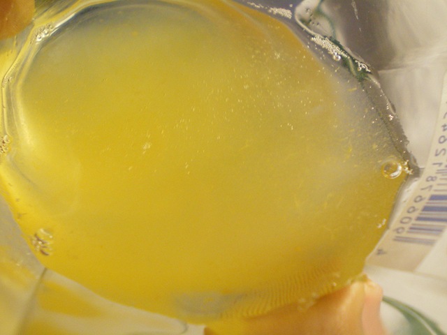 [umeshu1[3].jpg]