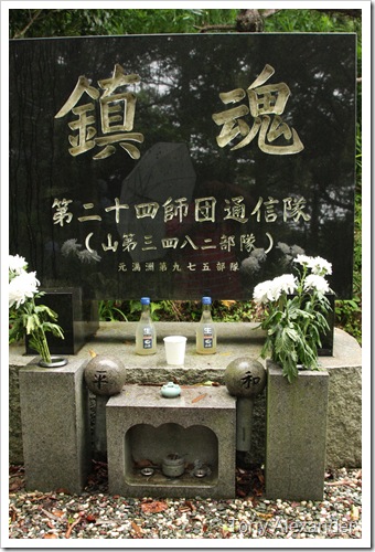 IMG_4796 IMG_4796