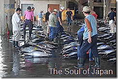 IMG_5684 IMG_5684
