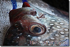 IMG_5678 IMG_5678